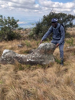 A stone sphinx sits in isolation in the veld near Adam's Calendar.